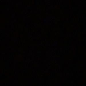 Meet your Posher, Lilly